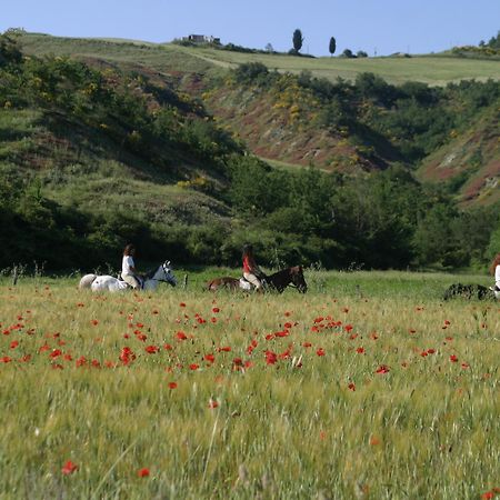 Гостьовий будинок Il Poggio Celle sul Rigo Екстер'єр фото