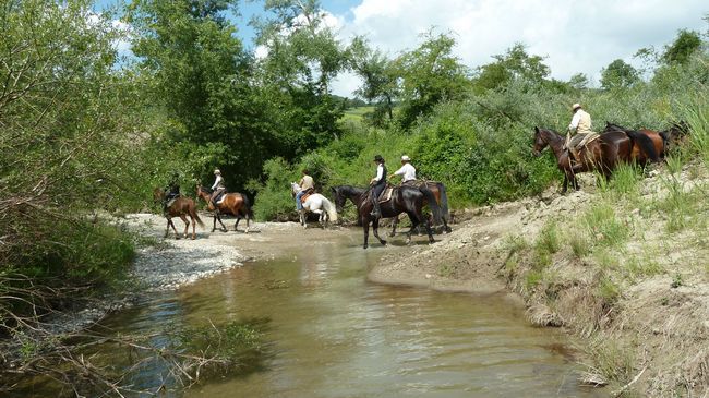 Гостьовий будинок Il Poggio Celle sul Rigo Екстер'єр фото